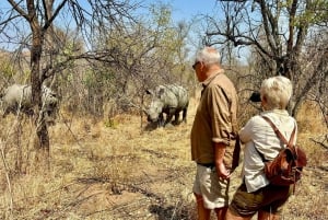 Matobo White Rhino Experience