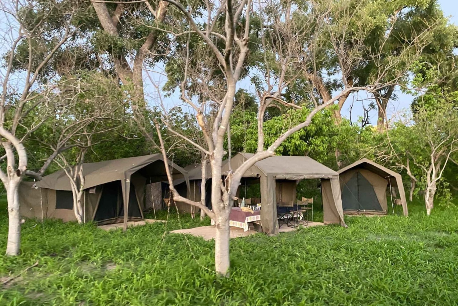 Maun: Excursão de 6 dias ao Okavango, Savuti, Chobe e Cataratas de Vitória