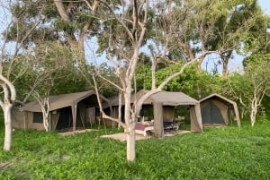 Maun: tour di 6 giorni di Okavango, Savuti, Chobe e Cascate Vittoria