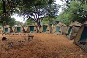 Maun: Excursão de 6 dias ao Okavango, Savuti, Chobe e Cataratas de Vitória