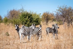 Safari di Mosi oa Tunya e safari a piedi con i rinoceronti