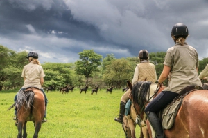 Top 5 Things To Do in Zimbabwe