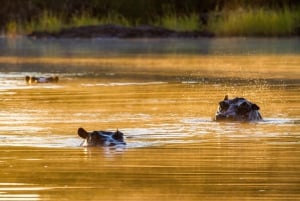 Riversong Sunset Luxury Zambezi Cruise