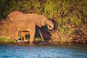 Riversong Sunset Luxury Zambezi Cruise