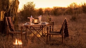 Robins Camp
