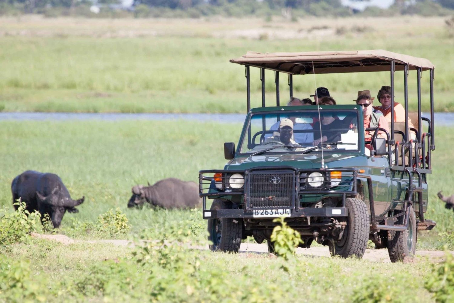Safari : Big 5 - Hwange National Park Safari Day Tour