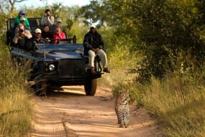 Safari Game Drive in Zambezi national park