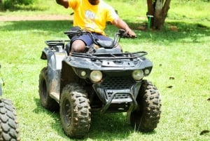 Vacances en Afrique du Sud : circuit de 4,5 jours dans le parc Kruger et à Johannesburg