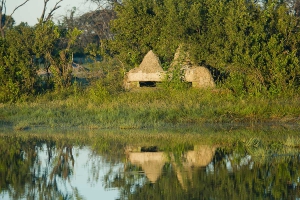 The Hide