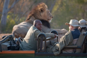 The Private Great Africa Escape 11 Days, Cape Town to Chobe