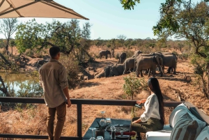 The Private Great Africa Escape 11 Days, Cape Town to Chobe