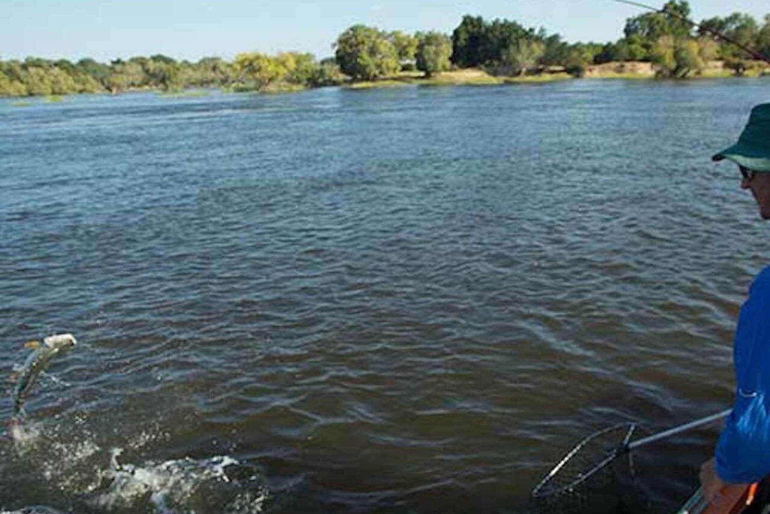 Tiger-fisketur på Zambezi-floden