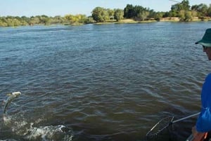 Tiger-fisketur på Zambezi-floden