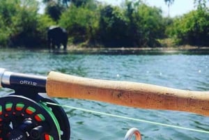 Tiger-fisketur på Zambezi-floden