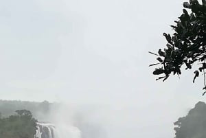 Tour Operator, Flusskreuzfahrten und Safari-Fahrten im Chobe