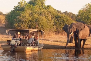 Tour Operator, Flusskreuzfahrten und Safari-Fahrten im Chobe