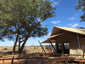 Machaba Safaris Verney's Camp