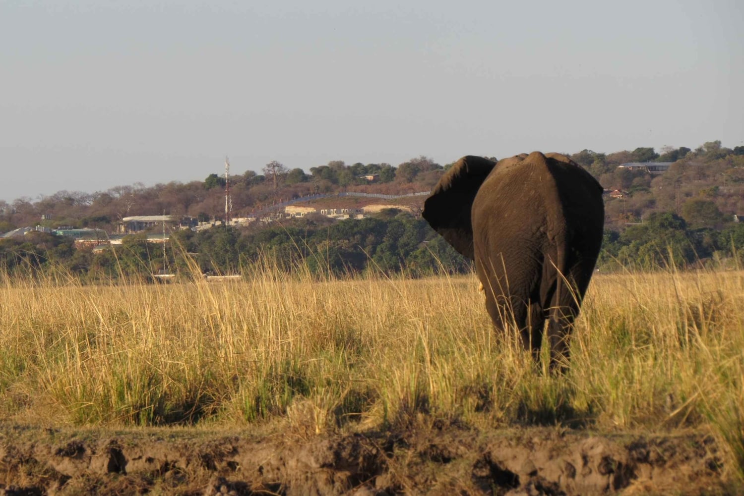Victoria Falls: 2-Day Safari & Stargazing Experience