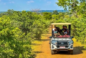 Victoria Falls: 3 Shearwater Activities Special Offer