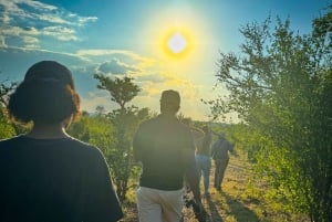 Wodospady Wiktorii: 3 aktywności Shearwater Oferta specjalna