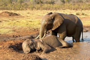 Wodospady Wiktorii: 3 aktywności Shearwater Oferta specjalna