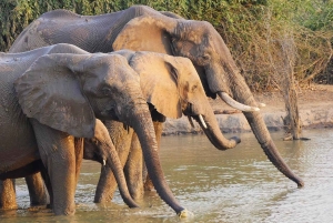 Victoria Falls: 4-Day Adventure with Bungee Jumping