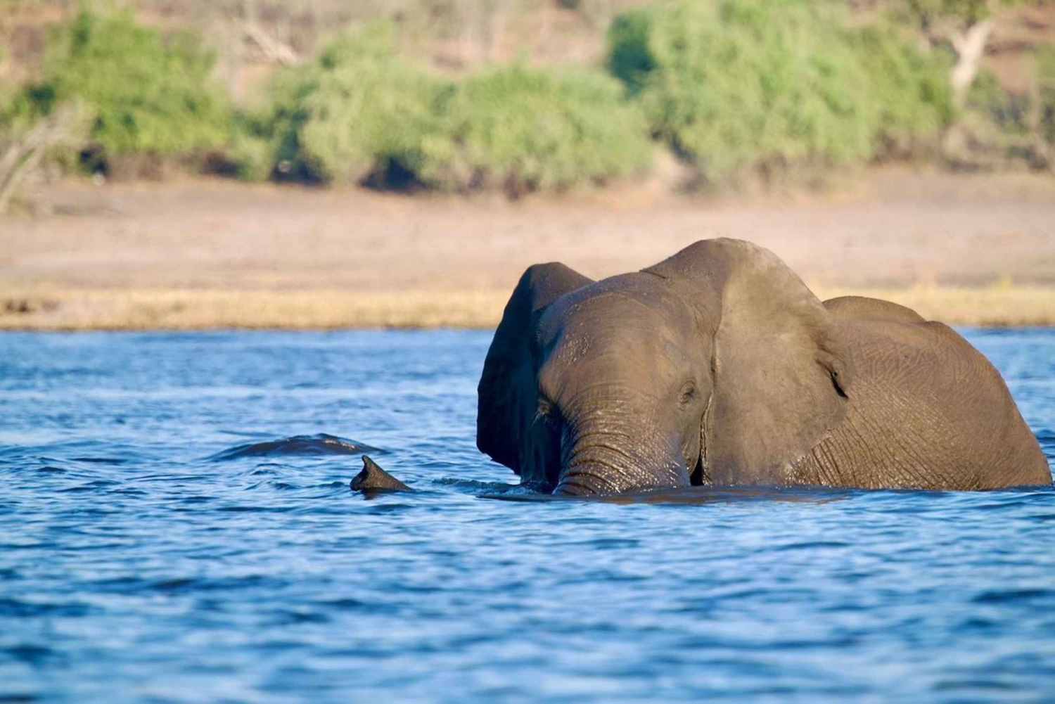 Victoriafälle: 4-tägige Tour mit Chobe