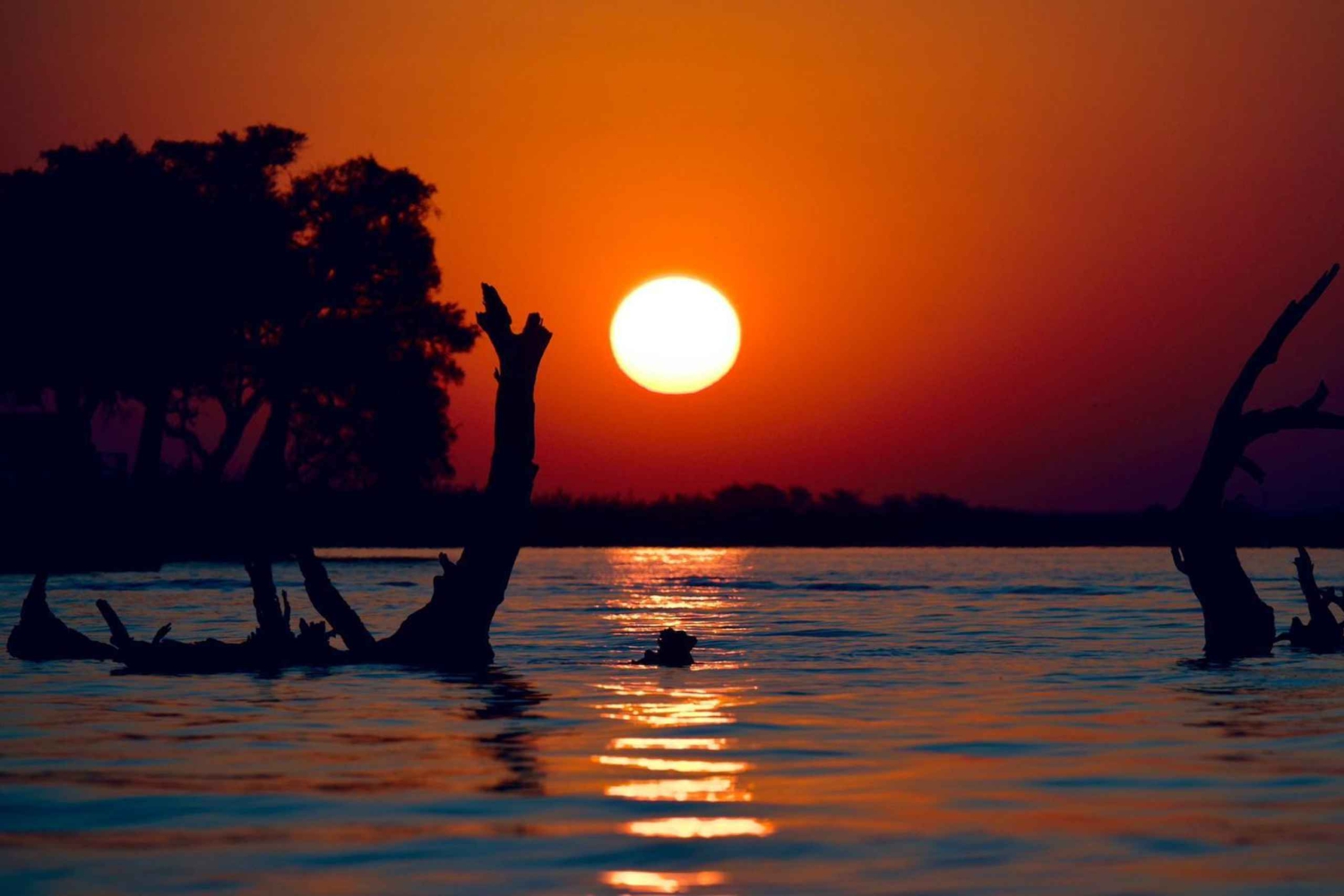 Victoriafälle: 4-tägige Tour mit Chobe