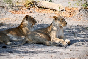 Victoriafälle: 4-tägige Tour mit Chobe