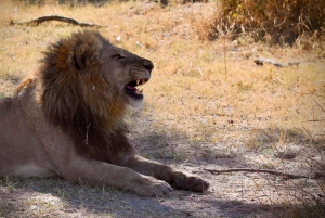 Victoriafälle: 4-tägige Tour mit Chobe