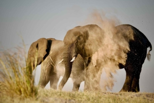 Victoriafälle: 4-tägige Tour mit Chobe
