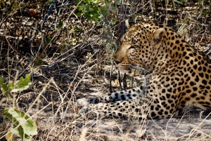 Victoriafälle: 4-tägige Tour mit Chobe