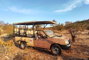 Victoria Falls: 4x4 Big Tree Safari in National Park