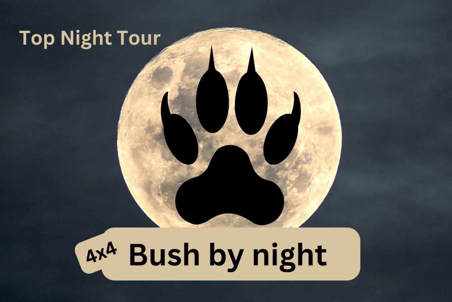 Victoria Falls: 4x4 Bush by Night Drive