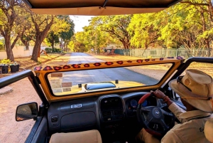Wodospady Wiktorii: 4x4 Victoria Falls Sightseeing Tour