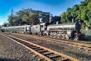 Wodospady Wiktorii: 4x4 Victoria Falls Sightseeing Tour