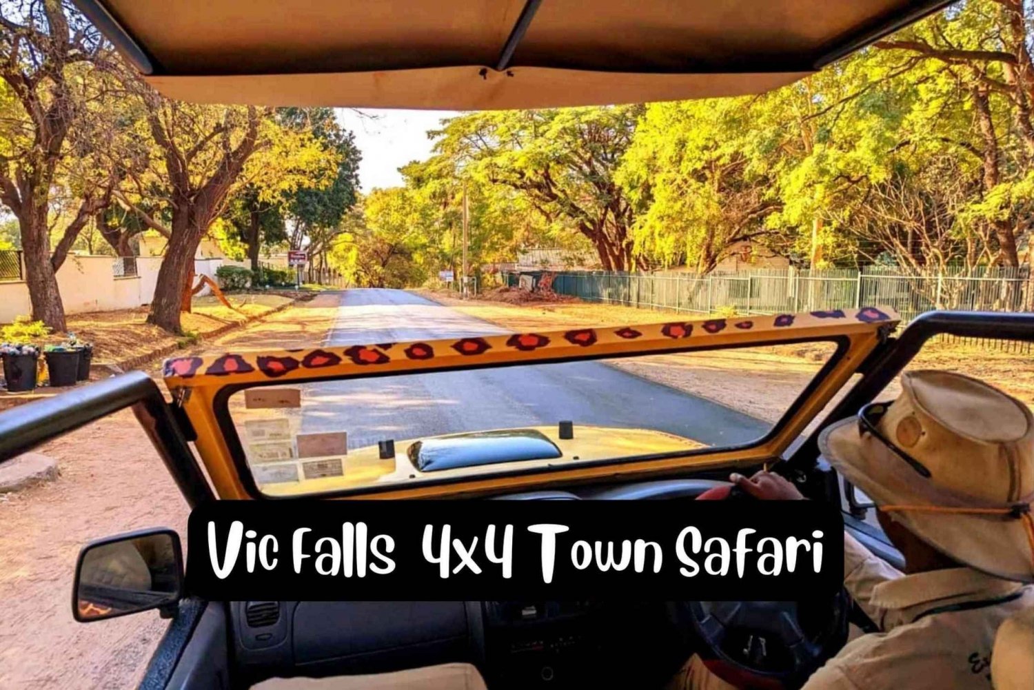 Victoria Falls: 4x4 Victoria Falls Town Safari