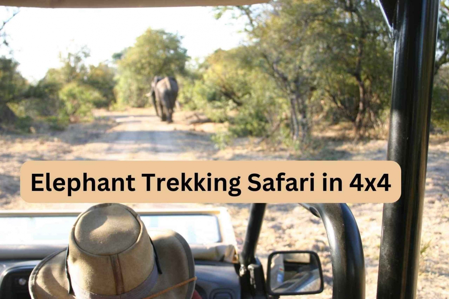 safari 4x4 zambezi