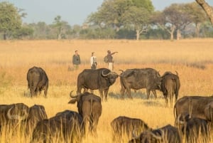 Victoriafälle: 9-tägige geführte Safari in Simbabwe mit Unterkunft