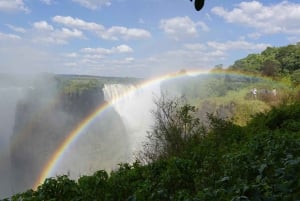 Victoriafälle: 9-tägige geführte Safari in Simbabwe mit Unterkunft