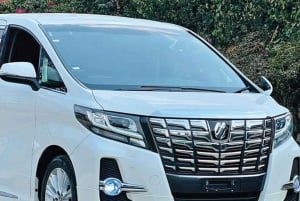 Victoria Falls: 90-Minute Arrival Orientation & City Tour