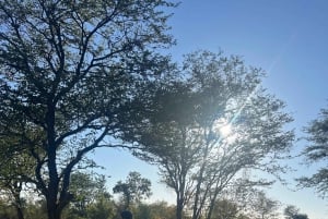 Victoria Falls: African Village Community Tour on Horseback