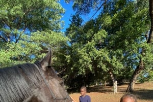 Victoria Falls: African Village Community Tour on Horseback