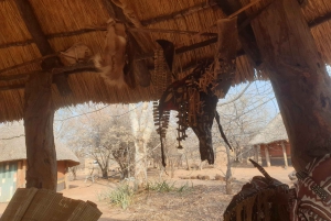 Victoria Falls: African Village Tour