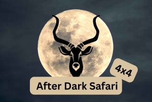 Victoria Falls: After Dark Safari 4x4