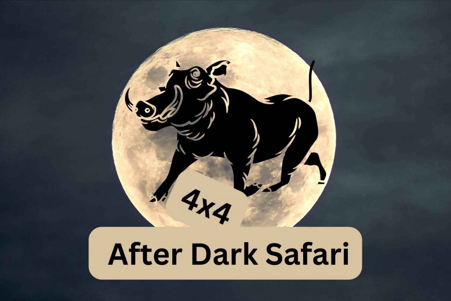 Victoria Falls: After Dark Safari in 4x4