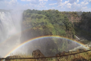 Trasferimento dall'aeroporto e tour guidato delle cascate Vittoria