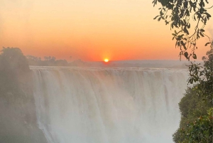 Trasferimento dall'aeroporto e tour guidato delle cascate Vittoria