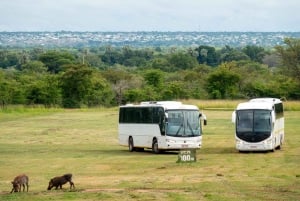 Victoria Falls: Airport Transfer to/from Town