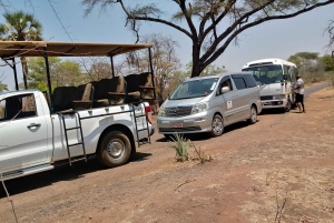 Victoria Falls: Airport Transfer